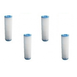 Lot de 4 Cartouches de filtration Pentair pour Filtres à cartouche QUAD Pentair