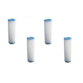 Lot de 4 Cartouches de filtration Pentair pour Filtres à cartouche QUAD Pentair