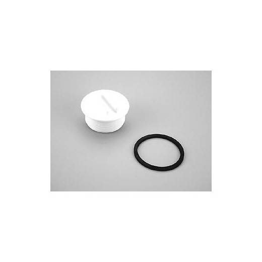 Bouchon de skimmer 2" 4402010503 + joint Astralpool