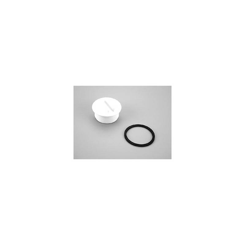 Bouchon de skimmer 2" 4402010503 + joint Astralpool