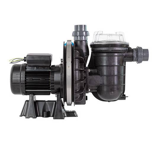 Pompe de filtration La STA-RITE HD PENTAIR 2CV mono