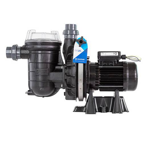 Pompe de filtration La STA-RITE HD PENTAIR 1,5 CV tri