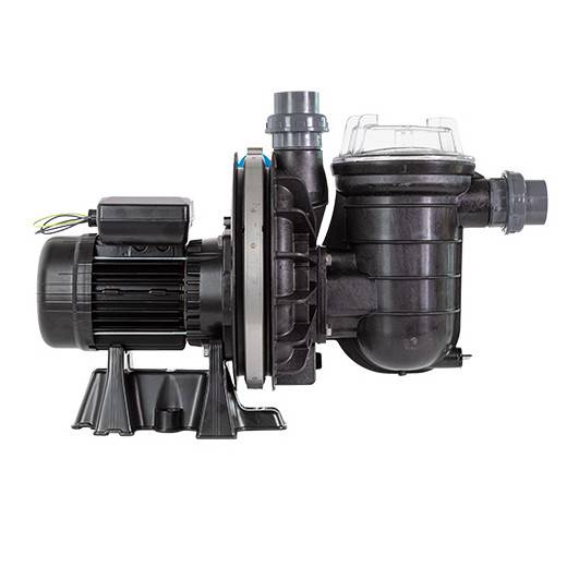 Pompe de filtration La STA-RITE HD PENTAIR 0,75 CV tri