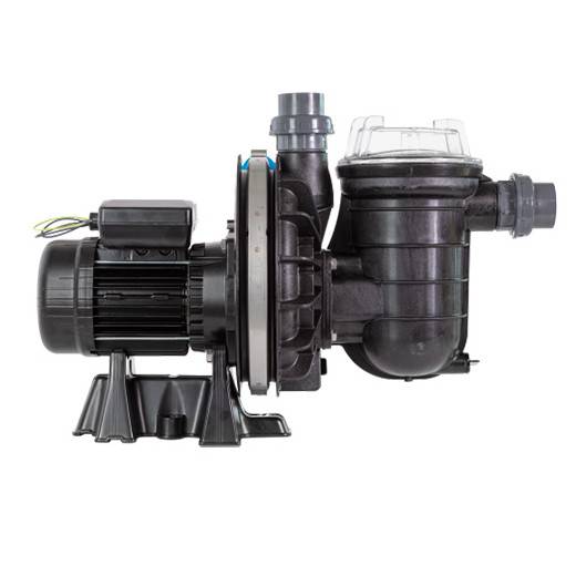 Pompe de filtration LA STA-RITE PENTAIR 1,5 CV tri