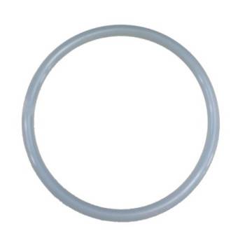 Joint torique 4404020111 couvercle filtre Aster / RapidPool Astralpool