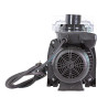 Pompe filtration piscine Pentair Swimmey (Nocchi) mono 0.75 cv SW15M - 9 m3/h