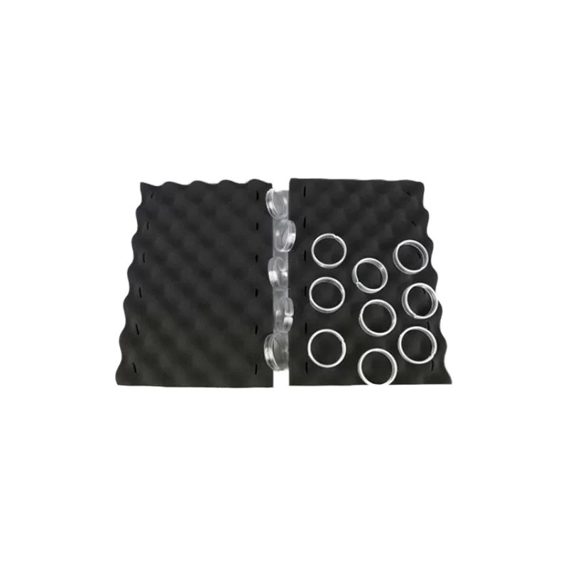 Paire de Brosses mousses noires avec 14 clips Zodiac