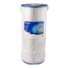 Cartouche de filtration Clean & Clear C100 PENTAIR