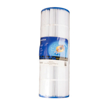 Cartouche de filtration Clean & Clear Plus 320 PENTAIR