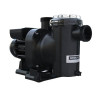 Pompe Filtration Astral SENA 1,25 cv Tri 14 m3/h reconditionnée