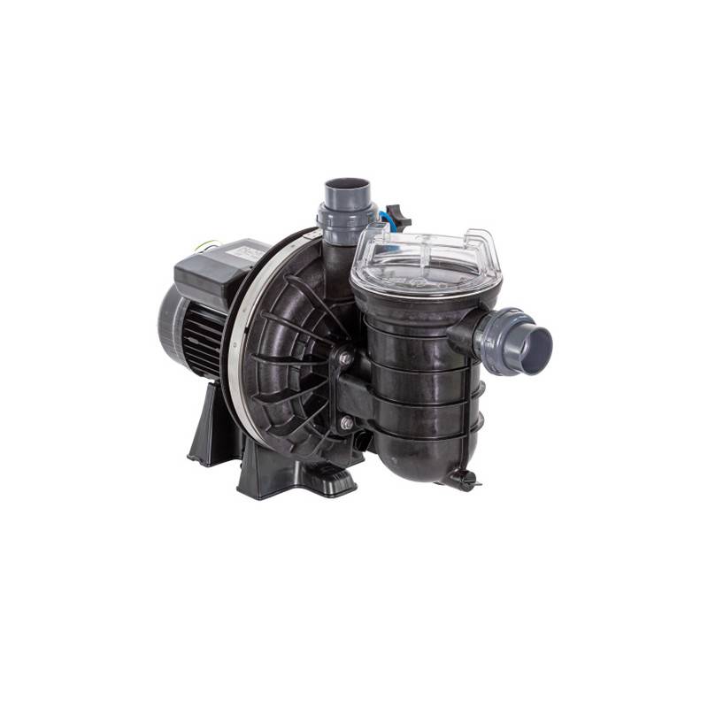 Pompe de filtration LA STA-RITE PENTAIR 0,75CV tri reconditionnée