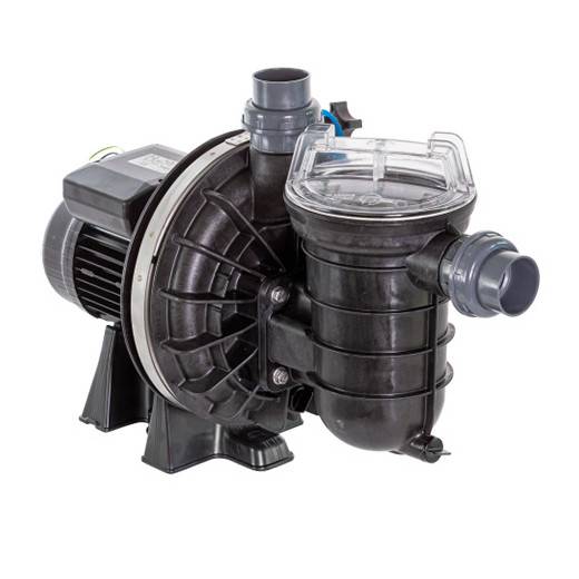 Pompe de filtration LA STA-RITE PENTAIR 0,75CV tri reconditionnée