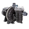 Pompe de filtration LA STA-RITE PENTAIR 0,75CV tri reconditionnée