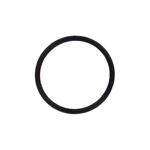 Joint torique Ø62 Pompes SOLUBLOC Vipool