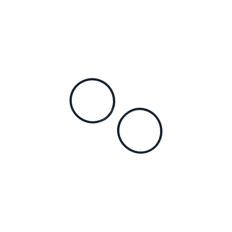 Lot 2 joints torique pour doseur de chlore/brome Astralpool