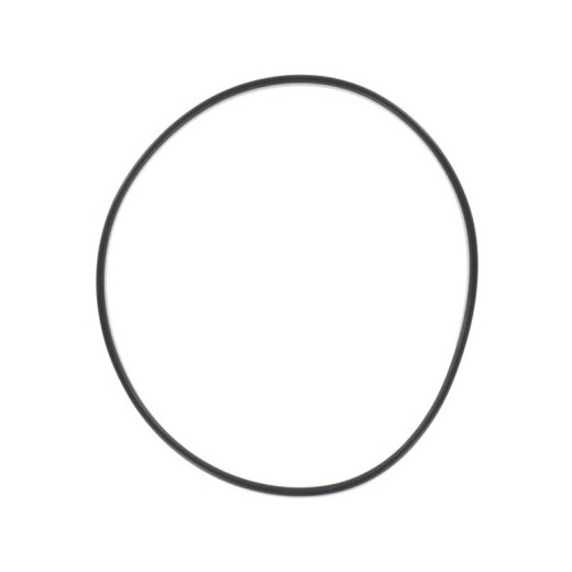 Joint de couvercle Vanne Side 2" Filtre à sable EMAUX