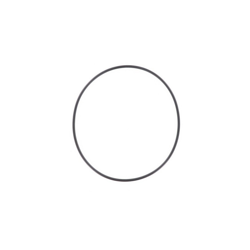 Joint torique Ø164 mm pompes PHT Solubloc VIPOOL