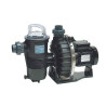 Pompe filtration piscine CHALLENGER 3 CV TRI 34 m3h