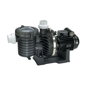 Pompe filtration STA-RITE Série 5P6R 2,7 cv tri - Eau douce