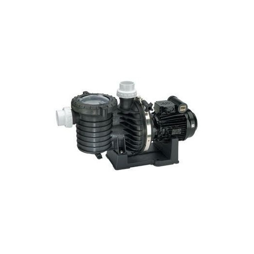 Pompe filtration STA-RITE Série 5P6R 2 cv tri - Eau douce