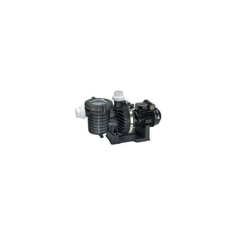 Pompe filtration STA-RITE Série 5P6R 1 cv tri - Eau douce