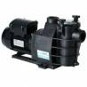 Pompe filtration piscine Hayward Powerline Plus mono 1,5 cv