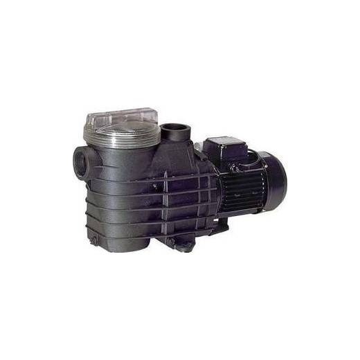 Pompe Filtration Delfino AEP 1,5 cv mono