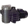 Pompe Filtration Delfino AEP 0,75 cv tri