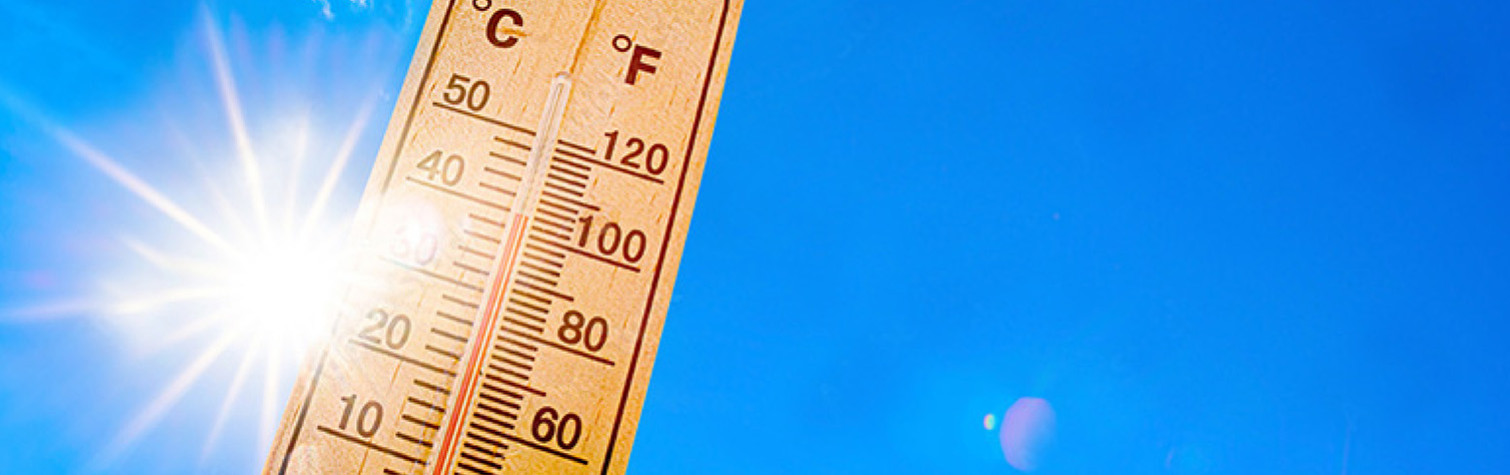 Comment traiter sa piscine pendant la canicule ?